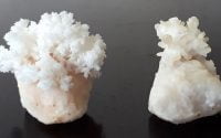 limestone and vinegar crystals