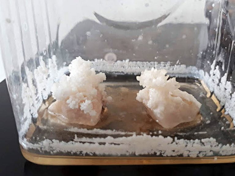 How to Grow Limestone & Vinegar Crystals Easily Crystalverse