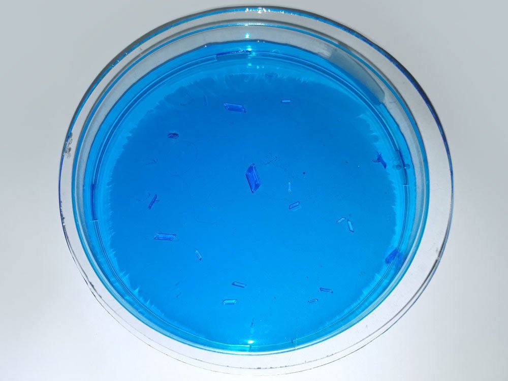 Seed crystals of copper sulfate