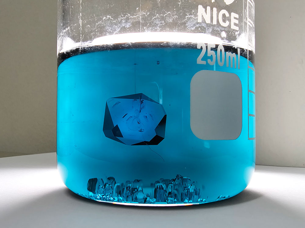 Chrome alum crystal growing in solution.