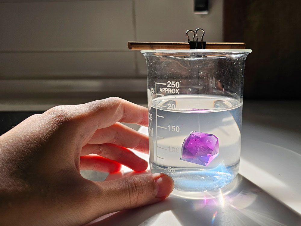 A chrome alum crystal in a potassium alum solution.