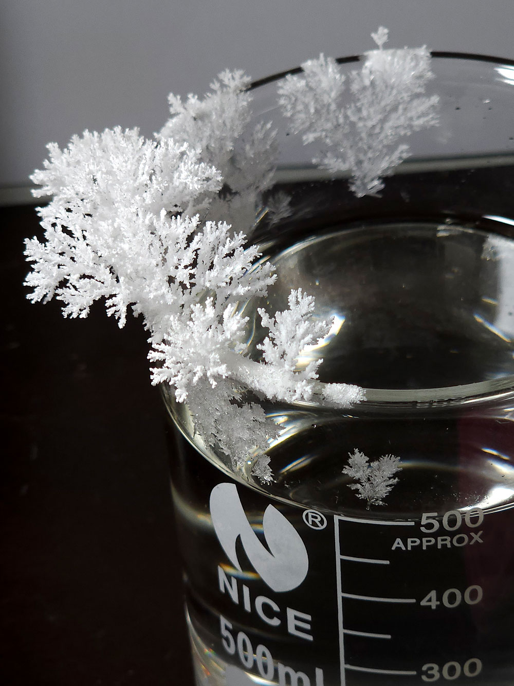 Crystalline dendrites of monoammonium phosphate