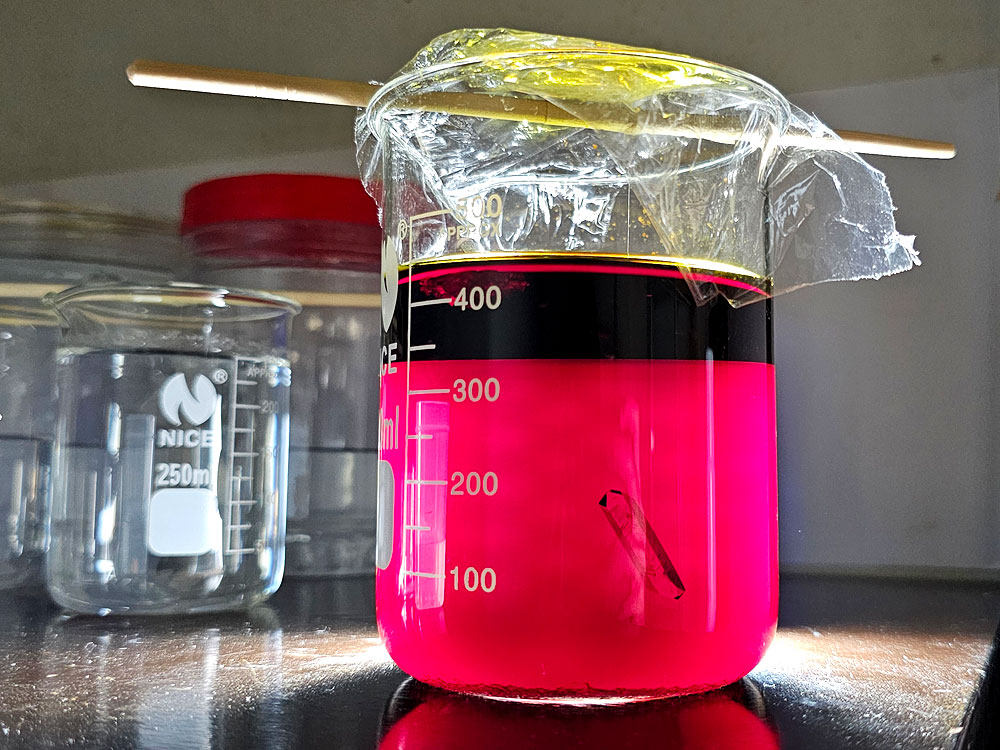 Potassium ferricyanide crystal growing in solution.