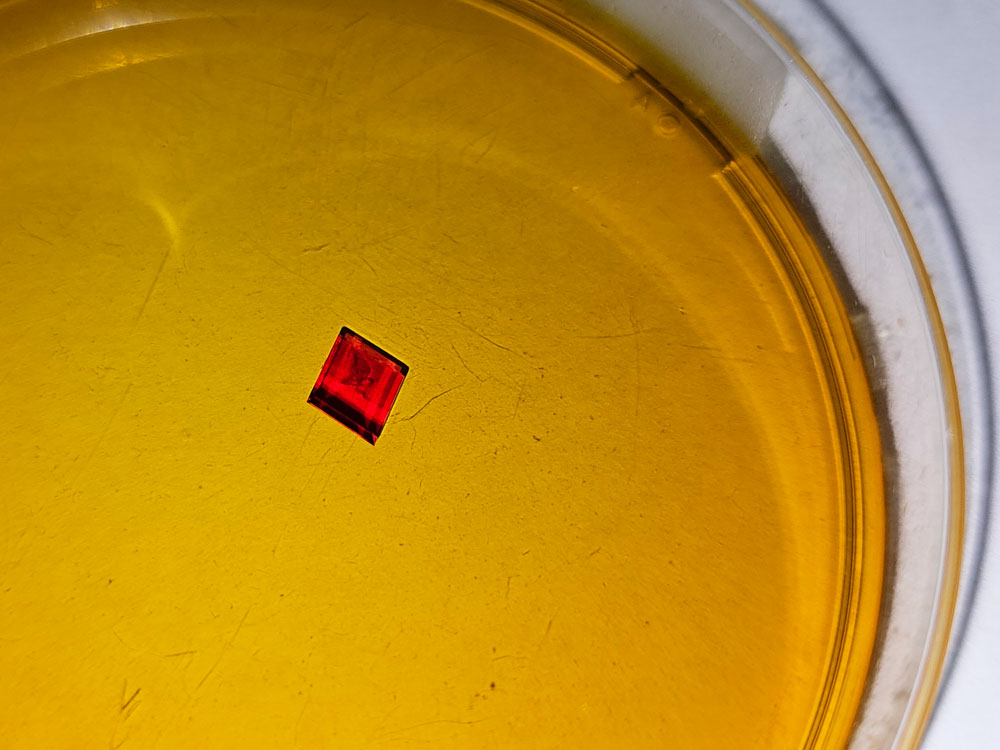 A small potassium ferricyanide crystal.