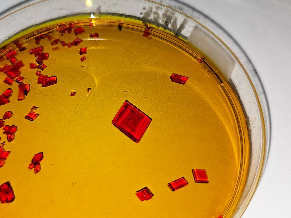 Many potassium ferricyanide seed crystals.