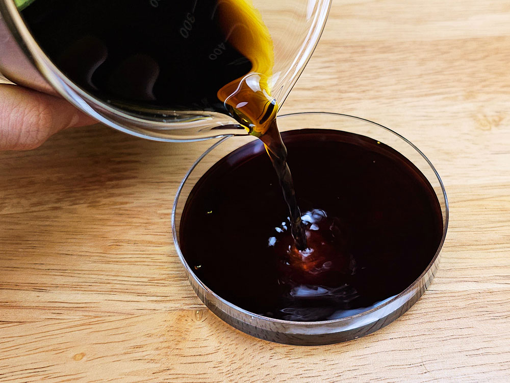 Pouring the solution into a petri dish.