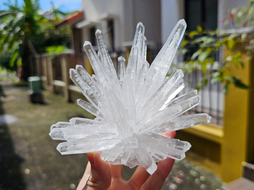 A large cluster of monoammonium phosphate crystals