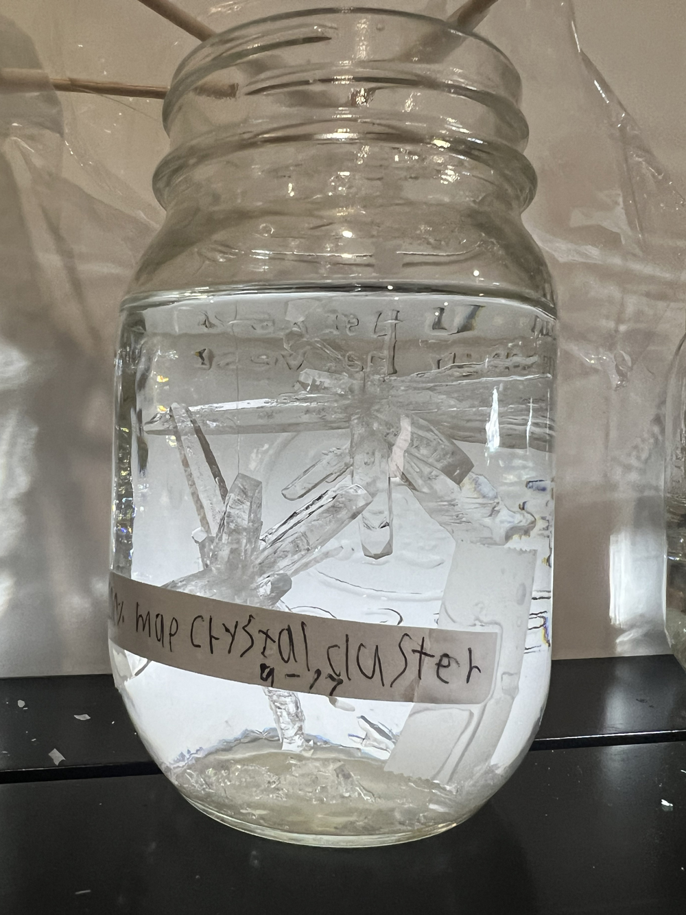 MAP crystals grown as a science fair experiment